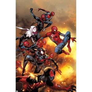 Spiderman Poster Featuring Multiple Red, Blue, Black Characters